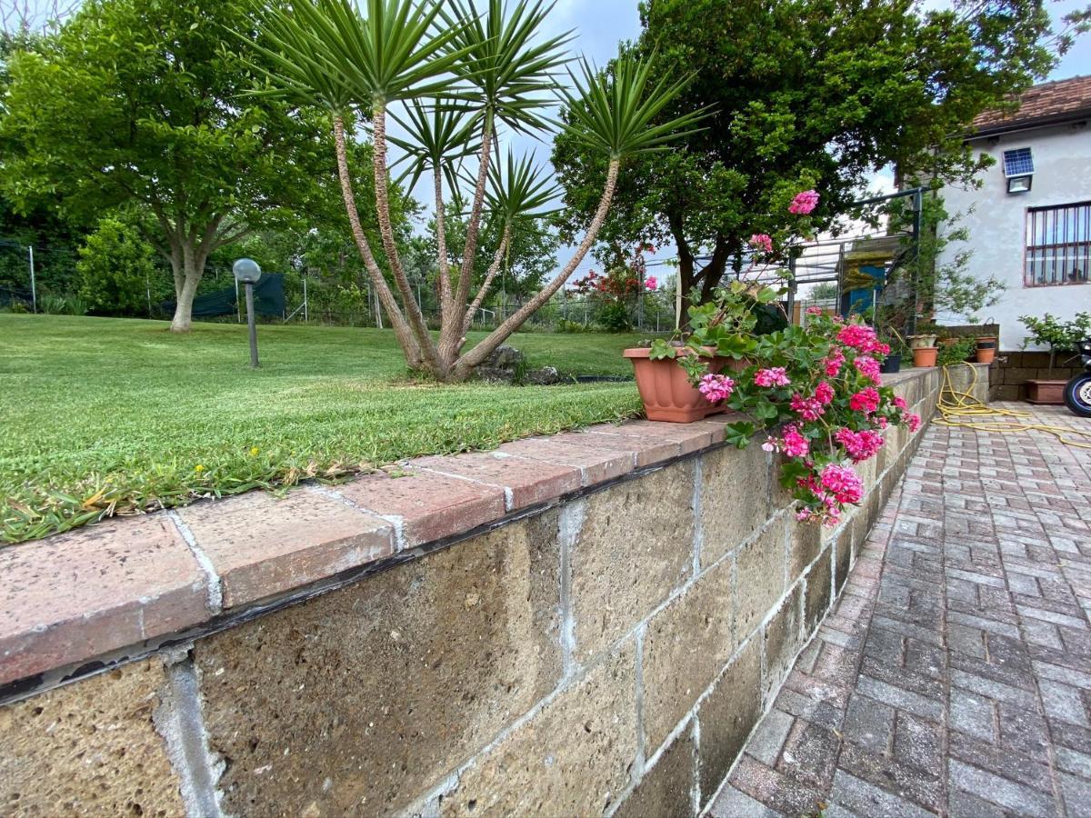 Bed and Breakfast A Casa di nonna Emilia Campagna Esterno foto